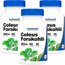 nutricost 毛喉鞘蕊膠囊 500mg, 60顆, 3罐