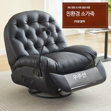 루미에뜨 거실 1인용 소파 전동식 리클라이너 멀티기능 마사지 체어 리얼가죽 캡슐 디자인 흔들의자, 8 윤징 전동식 클라이밍 폰 홀더