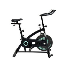 進階款 磁控室內單車 13KG 飛輪健身車