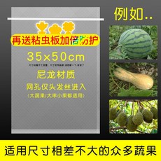 과일 야채 보호망 새 곤충 방지 반복사용 봉투 망 딸기 포도 사과 복숭아 형태보존 보호, O  35x50cm/10 개