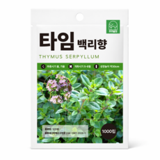 [주주씨앗] 백리향 타임 씨앗 1000립 다년생 허브 타임 종자 봄 가을 파종 채소 씨앗몰, 1개