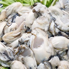 제철 통영 가리비 소라 전복회 개불 깐멍게 해산물외, 1개, 손질깐 생굴1kg