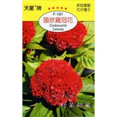 天星牌 頭狀雞冠花種子 F-191 野菜部屋 Celosia Cockscomb, 1包