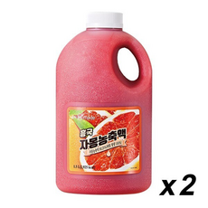냉장 흥국 자몽 농축액, 1.5L, 1개
