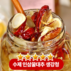 진한 인삼 향과 은은한 꿀 단맛 대추의 깊은 풍미 생강의 알싸함이 어우러져 쫀득한 과육 식감까지 살아있는 건강한 단맛 수제 인삼꿀대추 생강청, 1박스, 1개입, 600g