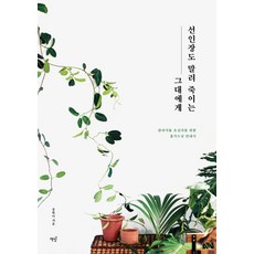 Bookisbab 獻給連仙人掌都能養死的你：伴侶植物新手的居家園藝指南
