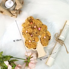 발라리안 도시락 프로틴 코스프레, 5개