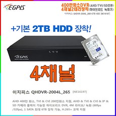이지피스 QHDVR-4004QS_265+1TB HDD, 1개