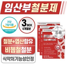 임산부 철분제 식약청 인증 헬시위듀 엽산 비타민C, 3개, 60정