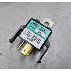 로체 쏘올세대 레이 플래셔 유니트 955502G000