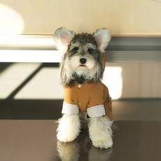 petdog 강아지 패딩 조끼 역시즌 이월특가 꽃샘추위 캠핑용 소형견 중형견, 1개, 브라운