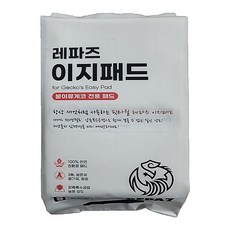레파즈 이지패드, 1개