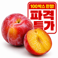 [파격특가] 국내산 제철 꿀자두, 1박스, 맛보기 1kg(S-M)