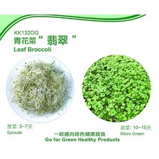 【野菜部屋~】Q06 青花菜芽菜種子 1斤 綠花椰菜種子, 1包