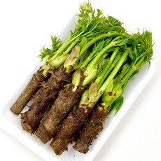 [딱2주한정특가] 제철 봄나물 참두릅 나무두릅, 2개, 140g