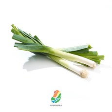 [아리파머스] 당일손질 국내산 세척 깐대파, 5kg, 1박스