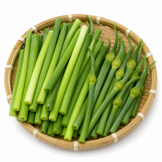 [백화점납품용] 국산 햇 마늘종 코끼리마늘쫑, 1개, 500g