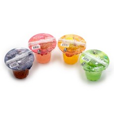 썬라이트 사과+포도+복숭아+망고 6개씩 (총24개), 24개, 180g