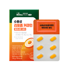 이너랩 수용성 리포좀 커큐민 퀘르세틴 골드 15g, 30정, 1개