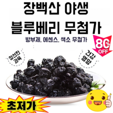 [1/1+1 초저가!] 타이완산 특급 무설탕 블루베리 건조과일 블루베리 프림 친환경 유기농 무첨가 건강 간식 사무실 간식, 100g/봉지