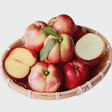 당일수확 아삭달콤 천도복숭아 달콤한 향미 신비복숭아 선물용 직배송, 1개, 천도 대과 2kg(16과)