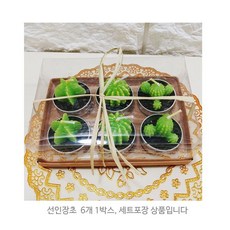 루이송 로코코 미니 선인장 캔들6피스 세트 장식초, 1개, 10ml, 무