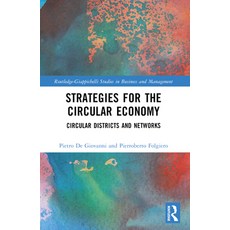 (영문도서) Strategies for the Circular Economy: Circular Districts and Networks Paperback, Routledge, English, 9781032458199