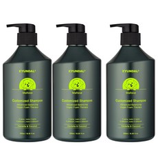 2+1 KYUNDAL 말티즈 전용 pH 피모 맞춤형 강아지 천연 저자극 pH 밸런싱 반려견 애견 샴푸 린스 겸용, 3개, 500ml