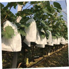 포도보호망 메쉬주머니 과수원 해충방제 방수 곤충차단 농업용 가든 과일보호 재배용품