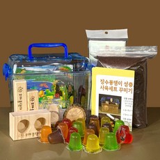 꼬마풍뎅이 장수풍뎅이 사슴벌레 사육세트, 1세트, 06 장수풍뎅이 사슴벌레 산란용 중형세트