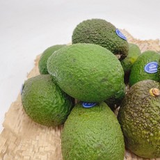 [제니네 제철과일] SG 산지발송 아보카도 부드러운 영양 (중대과), 4g, 1개, 중대과 20입 (개당 170 210g 내외)