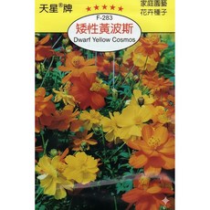 天星牌 矮性黃波斯 Cosmos種子 F-283 野菜部屋, 1包