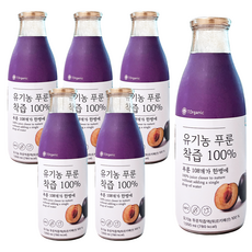 유기농 푸룬주스 물섞이지않은 NFC 100% 착즙원액, 6개, 1L