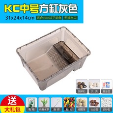 生態烏龜缸 大容量水龜/半水龜通用飼養缸, 中號灰色KC缸+大禮包, 1個