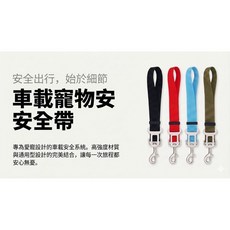 (T.C) 寵物汽車安全繩 狗狗固定帶 緩衝防衝撞 寵物車上安全帶 適用各車型 寵物牽繩 二合一 多功能安全扣 寵物車用, 隨機顏色/一入(優惠價), 1個