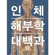 인체 해부학 대백과:내 몸이 아플 때 찾아보는 해부학 교수의 인체 의학 도감, 보누스, 인체 해부학 대백과, 켄 에슈웰(저) / 한소영(역), NSB9788964946008