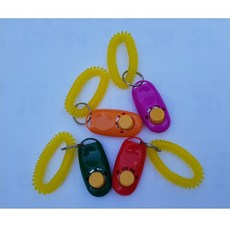 sf) 펫토이 - 훈련용 클릭커 / 칼라랜덤발송, 1개, 칼라랜덤