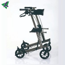 艾護康 隆羽 福來臨 A1A1W 兒童助散步車，安全穩固，音樂燈光互動，學步好幫手, 1個