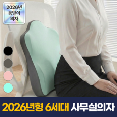 필모어 6세대 메모리폼 사무실 바른자세 등받이 허리 쿠션, 민트그린