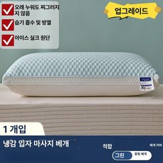 픽앤고 냉감필로우 냉감바디필로우 쿨베개 냉감베개, 업그레이드 그린 중간 베개 1개