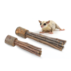 슈가글라이더 용품 초코 스틱 사과나무 이갈이 장난감 치석제거, 1개, 1)소형