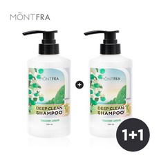 1+1 사춘기 초등학생 청소년 두피 냄새 딥클린 샴푸 500ml, 탠저린가든, 탠저린가든