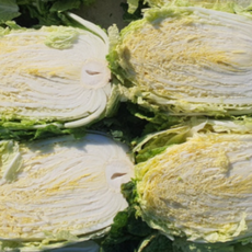 [재구매 1위] 국내산 강원도 고랭지 절임배추 절인배추 (도착희망일비고란작성 ), 10kg, 1개, 도착일 지정