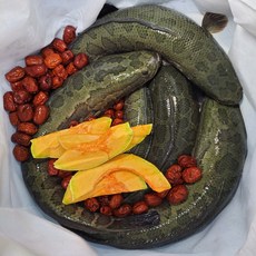 산야초 산모에게 좋은음식 가물치 호박즙 산후조리 진한 가물치즙 100mlx60포, 100ml, 2개