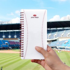 딜리고 비온뒤 핸디형 티켓북 캐치 유어 데이즈 영화 콘서트티켓북 야구티켓보관, 그린