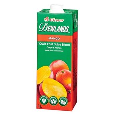 듀랜드 업무용 망고 주스 1L × 6병