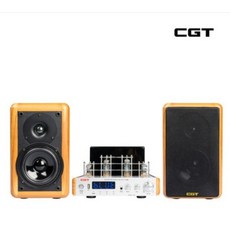 진공관앰프 CGT-T-100 + H100 HIFI AUDIO 셋트 80와트 레트로 블루투스 USB 써지텍, 01.앰프T-100+스피커H-100(2개)