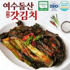 영농조합법인 여수 돌산 갓김치 1kg 2kg 3kg 당일생산제조 국내산100%, 1개