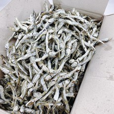 (산지직송)국물 다시 멸치 1.5kg (저가형) 영94 경매원물박스, 1개