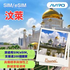 洲際電通 汶萊SIM卡 二類電信, 15天8GB